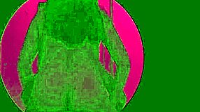 hidden camera catches wife and bull in gloryhole cabin