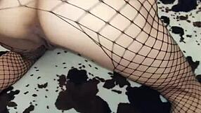 Milf Wife in Fishnet Body Gets Anal Stretched