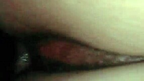 Talia Gets Sucked and Fucked!