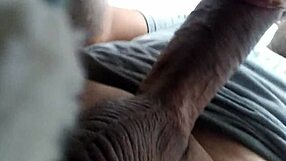 i feel the chubby latina's blowjob energy in this match