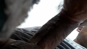 i feel the chubby latina's blowjob energy in this match