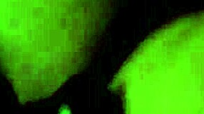 Dirty-talking Latina mommy bends over for anal doggystyle assfucking.