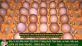 Ancient Vietnamese remedy for male vitality issues.