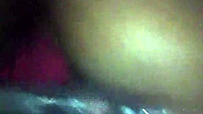 Fight Night Round One!