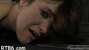 Free hardcore sadomasochism porn with bound sluts and femdom.