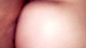 Download the 2017 video file 005601