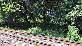 I know the girl from the train