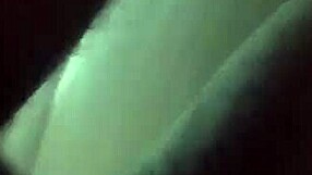 Passionate cunilingus and doggystyle intercourse by intimate couple