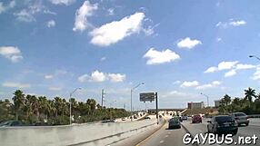 lusty group of gay guys engage in naughty banging and blowjobs