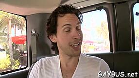 lusty group of gay guys engage in naughty banging and blowjobs