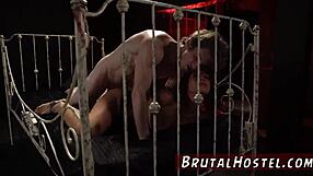 Tourists dominate in the bathroom!