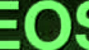 Bm And Lil Momma Explore Intimate Licks