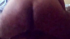 This bottom receives its anal pounding in doggy style