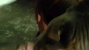 verification video part one with black performers