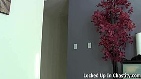 you're staying locked in chastity forever, no escape