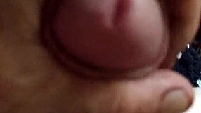 Video From 2016 08 18