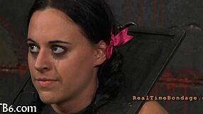 free hardcore sadomasochism videos