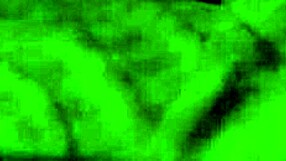 Amateur Couple Fucks At Home With Big Ass And Tits