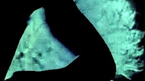 Two Centuries of Vintage Porn from 19th and 20th