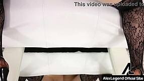 penny paxs tits bounce during a hard pussy fucking with alex legend