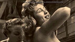 Dark Lantern Entertainment Brings Steamy Retro Granny Action