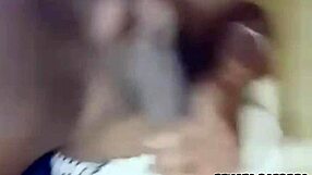 brazilian transsexual latina shemale fucks and sucks hung guys in amateur sex