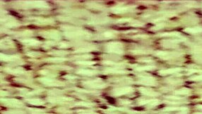 Doa5 Kasumi in gravure studio posing