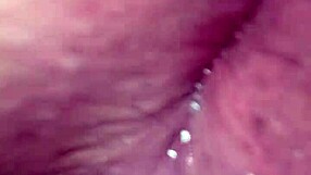 Comendo O Cu Da Morena