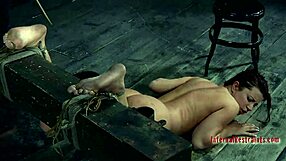 Brunette girlfriend uses toys for fingering and blowjob in bdsm session