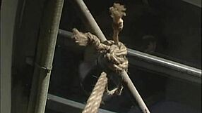 ninja vol 1 unveils wild japanese secrets