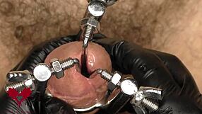 Intense emotions in a wild 3-way stretch