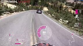 Suck my balls in the car?