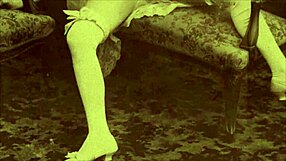 Vintage pornostalgia collection