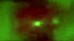 this brunette really knows how to suck dick