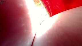 Giantess hides tiny man in huge tits