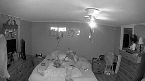 Brunette bitch passionately sucks on a massive monster cock with intense blowjob skills