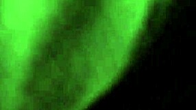 Deep Pussy Fucking From Back Ends With Creampie