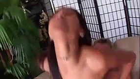 lili has sex with the professor and he gets back the girl he's wanted