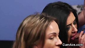 frisky sex kitten swallows jizz after blowbang