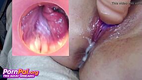 Crazy Creamy Action On Pussycam