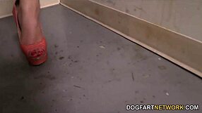A racist encounter of AJ Applegate with a big black cock