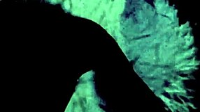 exploring two centuries of vintage pornography from retro times.