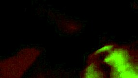 Bisexual video from March 16, 2017.