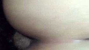 Introduction to basic video techniques in this primer.