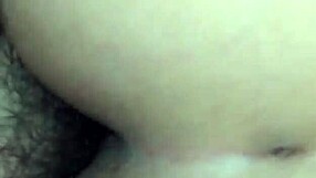 Introduction to basic video techniques in this primer.