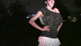 Girl joins public dogging gangbang through car windows.