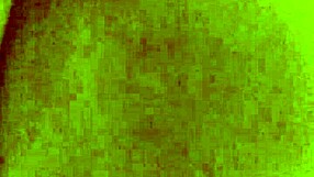 i shoved a huge dildo into my hairy german wife's big ass while she masturbated