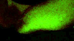 Savannah Synns Bent Over for Bareback Ass Pounding by Interracial Gay Partner