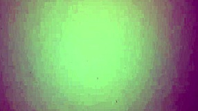 Rica Mamada De Mi Colombiana