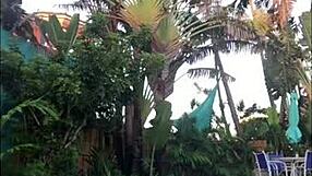 Big black cock in assfucking orgy in Miami